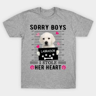 White Labrador Sorry Boys I Stole Her Heart Valentine T-Shirt